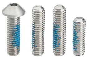 Campagnolo 12-Speed Rear Derailleur Screw Set