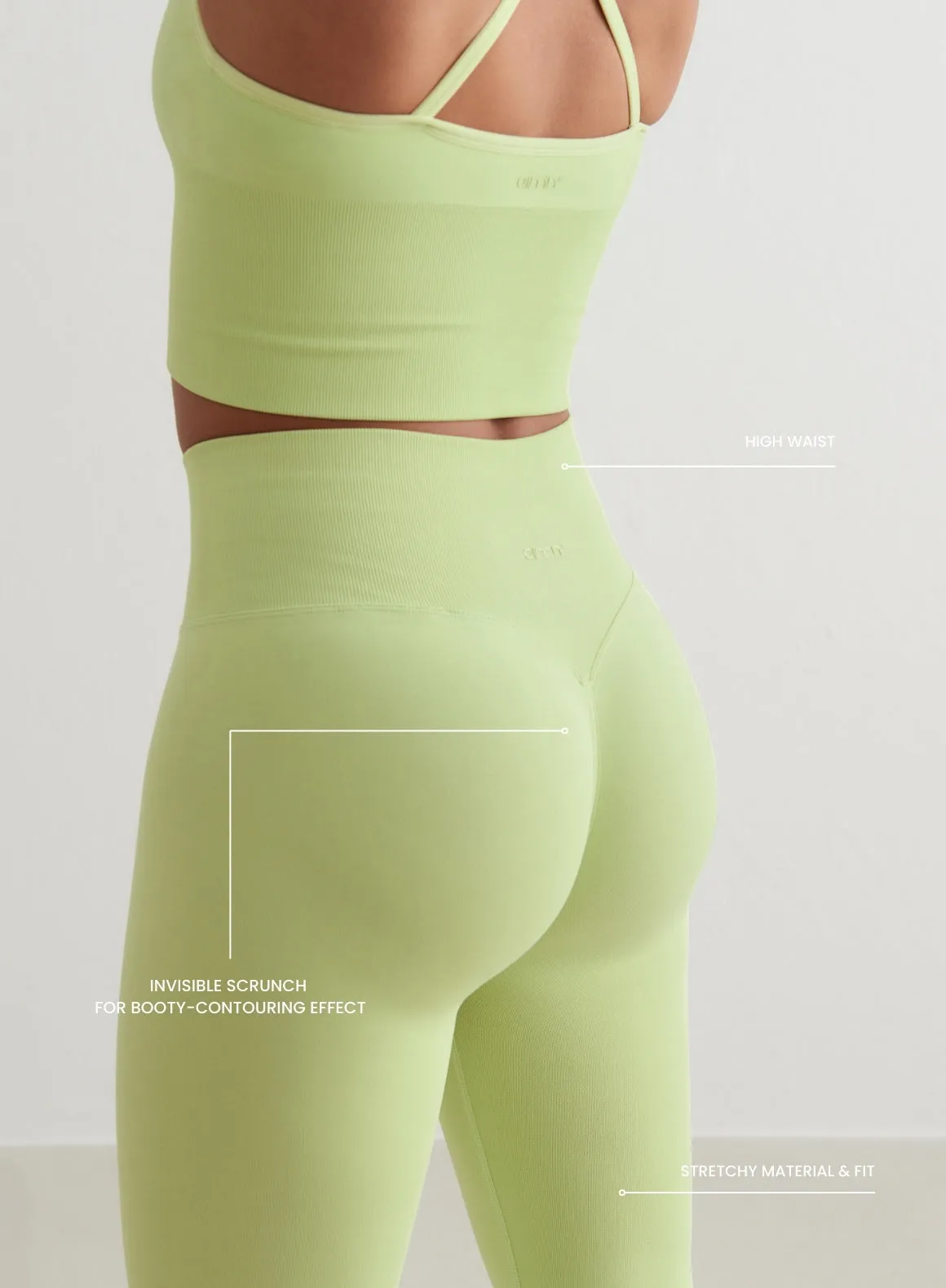 Matcha Shape Seamless Tights