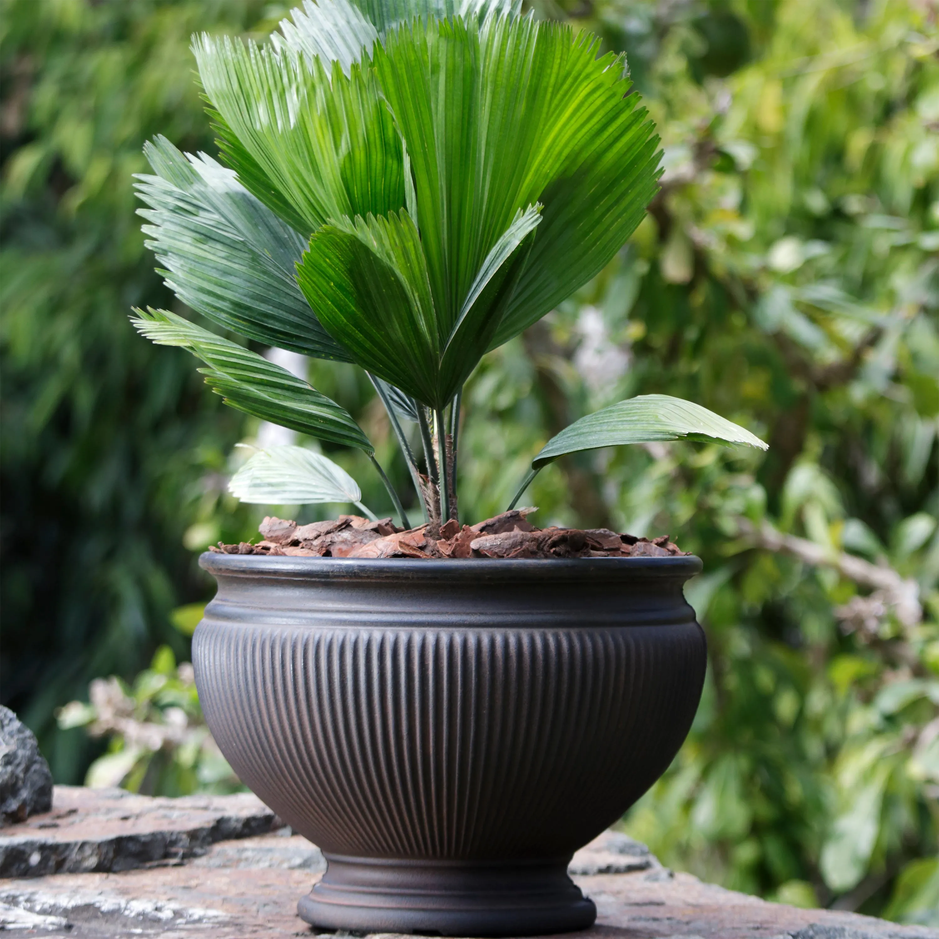 Sunnydaze Elizabeth Polyresin Outdoor Ribbed Urn Planter Pot - Rust